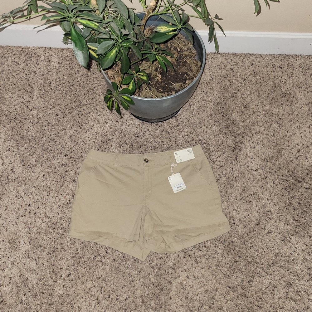 NWT a.n.a Mid-Rise Shortie Shorts Women's Sz 14 - Picture 1 of 13